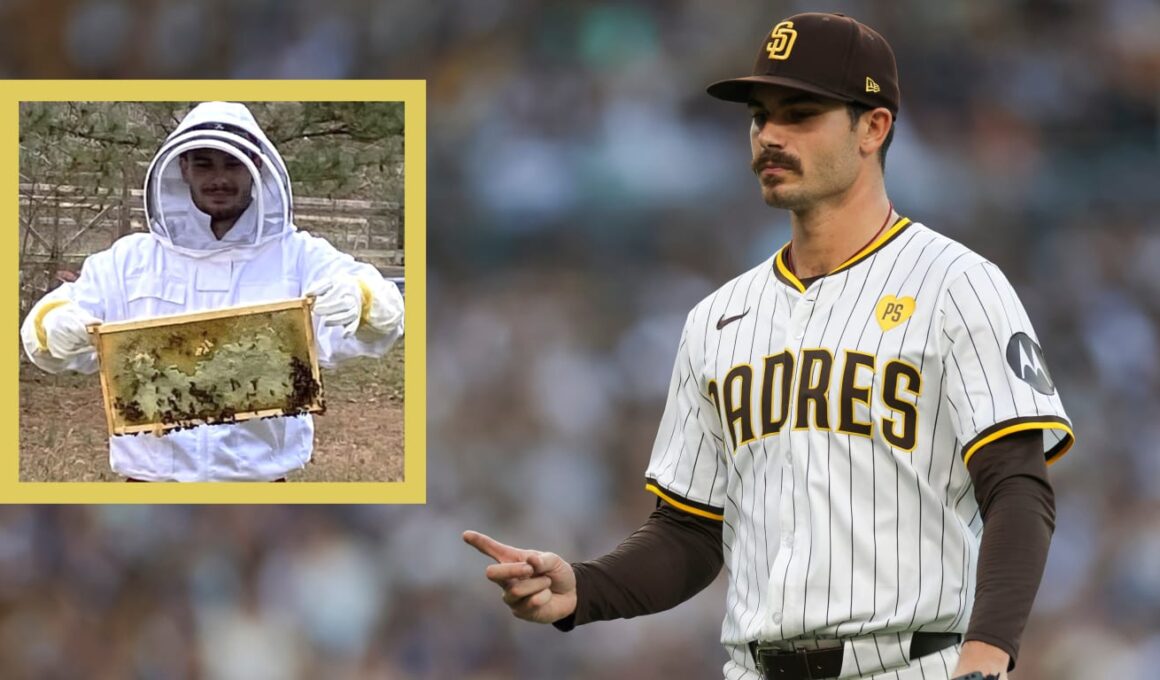 Ace starter/beekeeper: This is Cease’s sweetest hobbyAce starter/beekeeper: This is Cease’s sweetest hobby