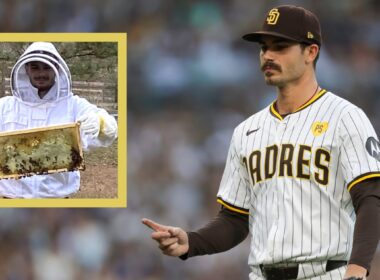 Ace starter/beekeeper: This is Cease’s sweetest hobbyAce starter/beekeeper: This is Cease’s sweetest hobby