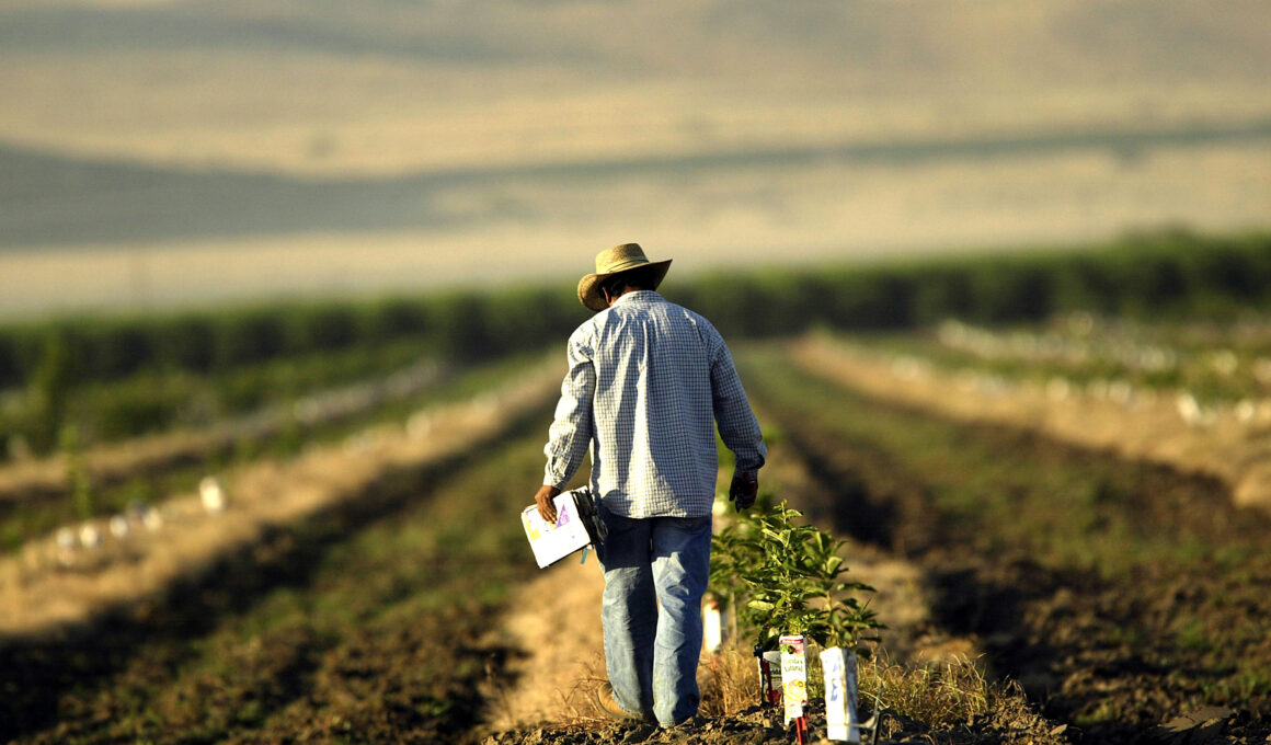 California Accused of ‘Negligence’ as Workers Complain About Heat