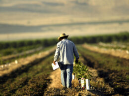 California Accused of ‘Negligence’ as Workers Complain About Heat