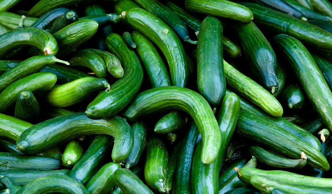 Salmonella Outbreak Linked To Recalled Cucumbers, CDC Says—Here’s What To Know