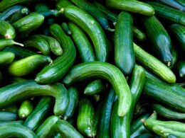 Salmonella Outbreak Linked To Recalled Cucumbers, CDC Says—Here’s What To Know