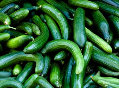 Salmonella Outbreak Linked To Recalled Cucumbers, CDC Says—Here’s What To Know