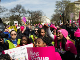 Free Vasectomies and an Inflatable IUD: Abortion Rights Advocates Hit the D.N.C.