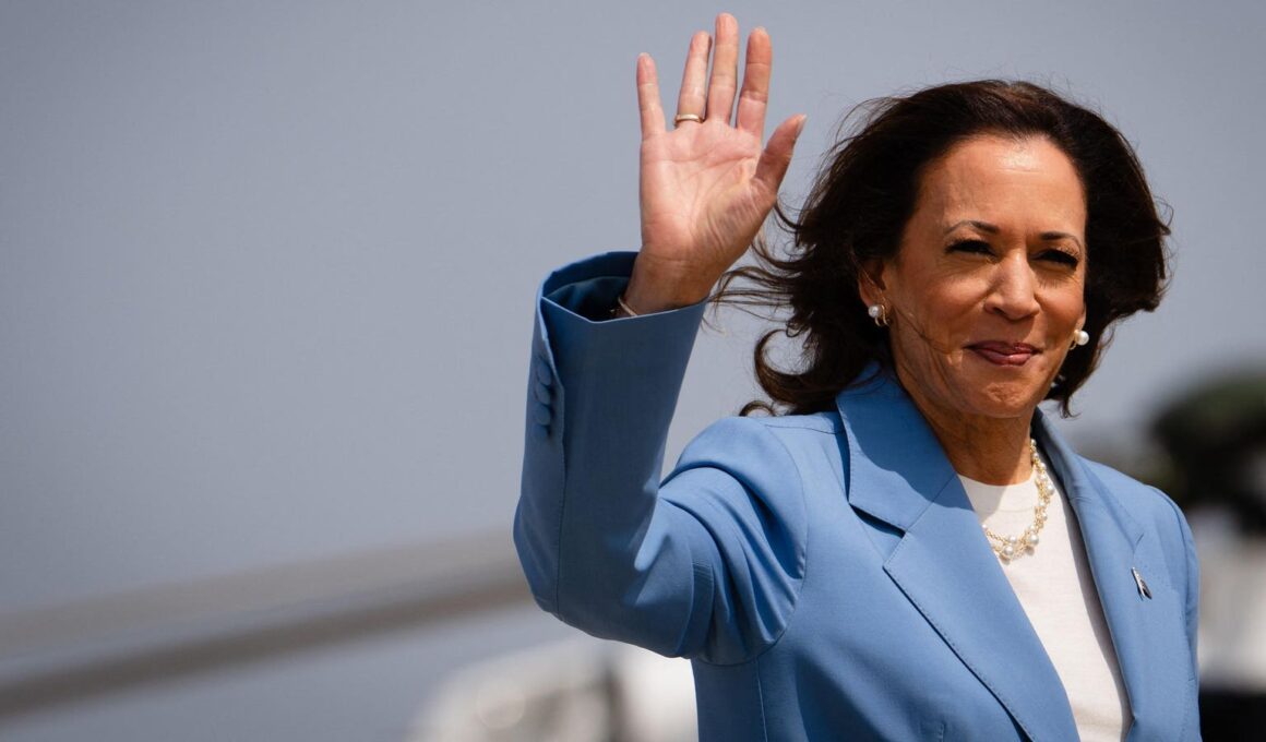 What Is Price Gouging? Here’s What To Know About Kamala Harris’ Core Economic Policy