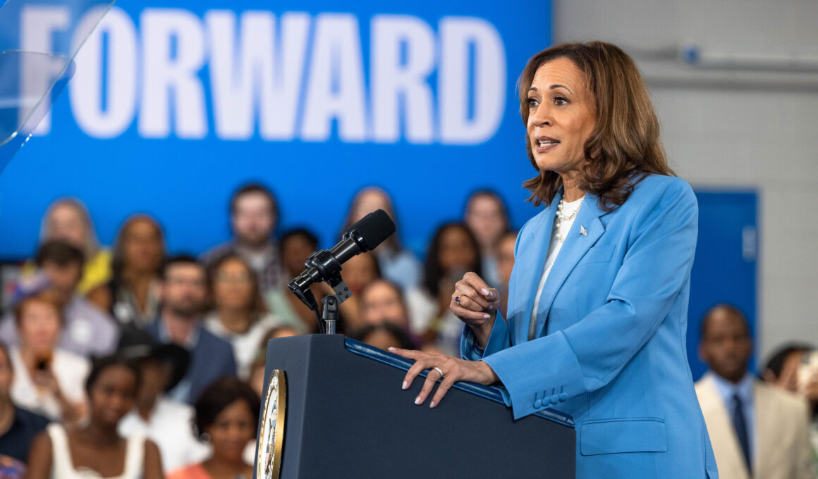 Ex-Obama Economic Adviser Casts Doubt on Kamala Harris Plan