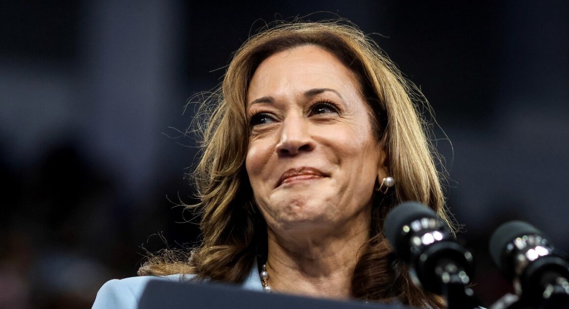 Facing setbacks, progressives focus on pragmatic goals for a Harris presidency