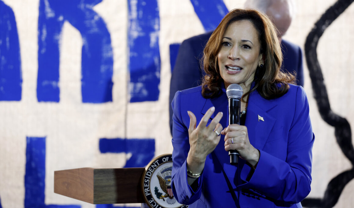 Democrats Confronted With Criticism of Kamala Harris’ New Economic Plan