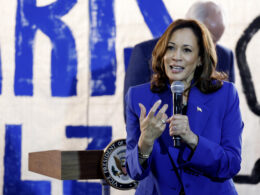 Democrats Confronted With Criticism of Kamala Harris’ New Economic Plan