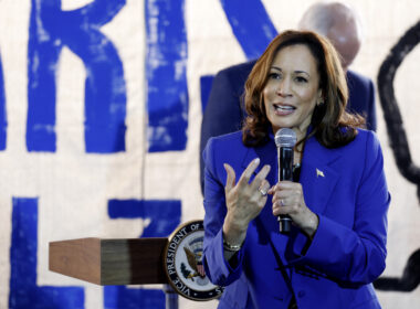 Democrats Confronted With Criticism of Kamala Harris’ New Economic Plan