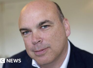 Who is British tech tycoon Mike Lynch?