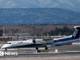 Flights cancelled in Japan after scissors go missing