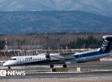 Flights cancelled in Japan after scissors go missing